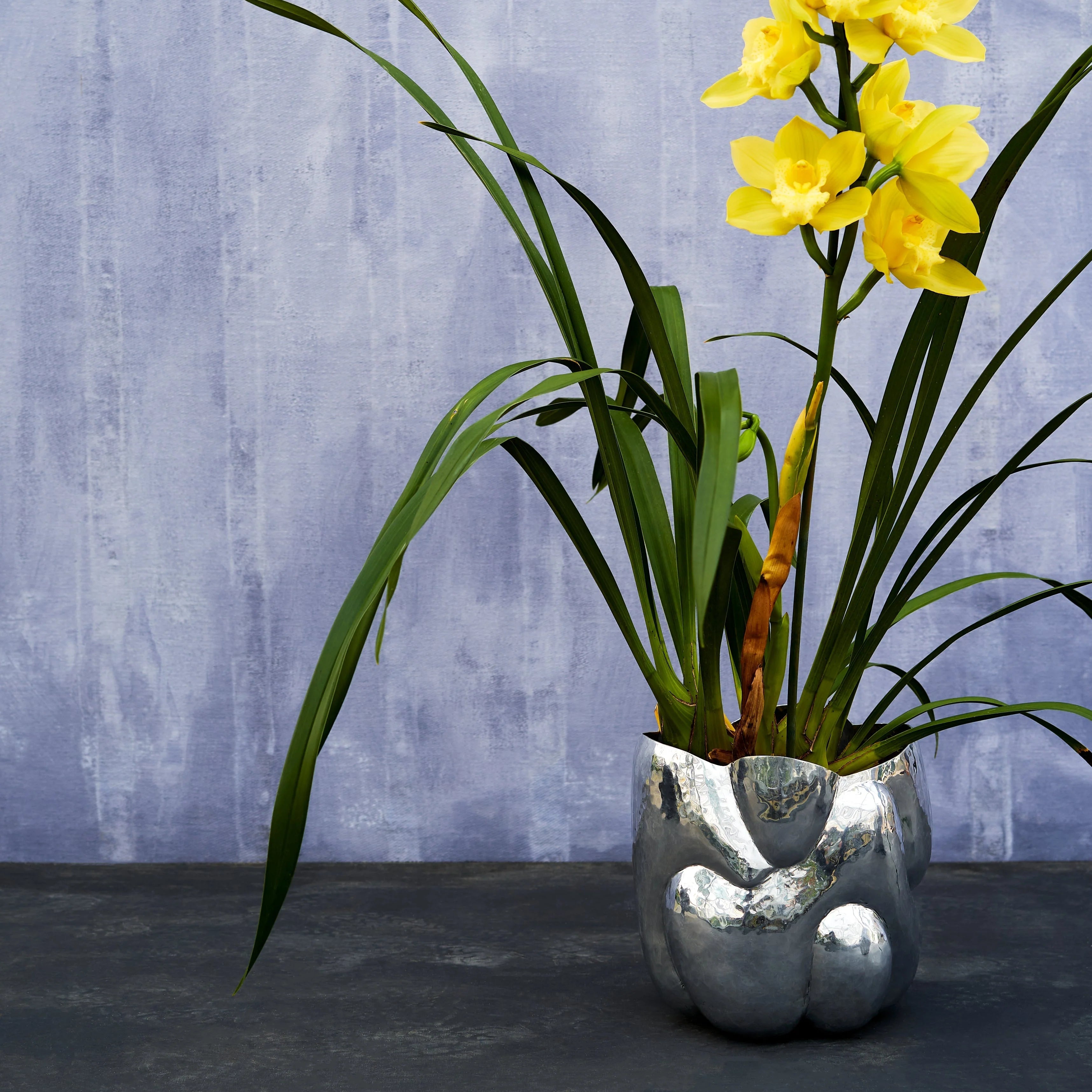 Cloud Short Vase / Schale architare Shop