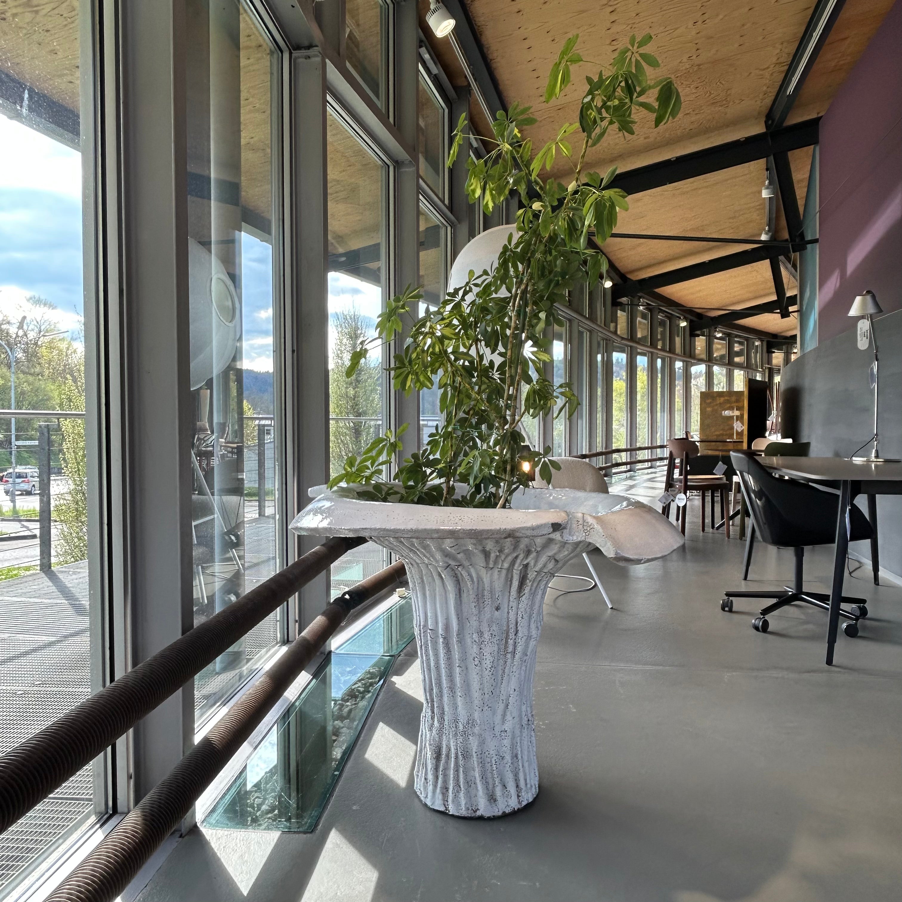 Domani / Funghi L70 / Plant pot
