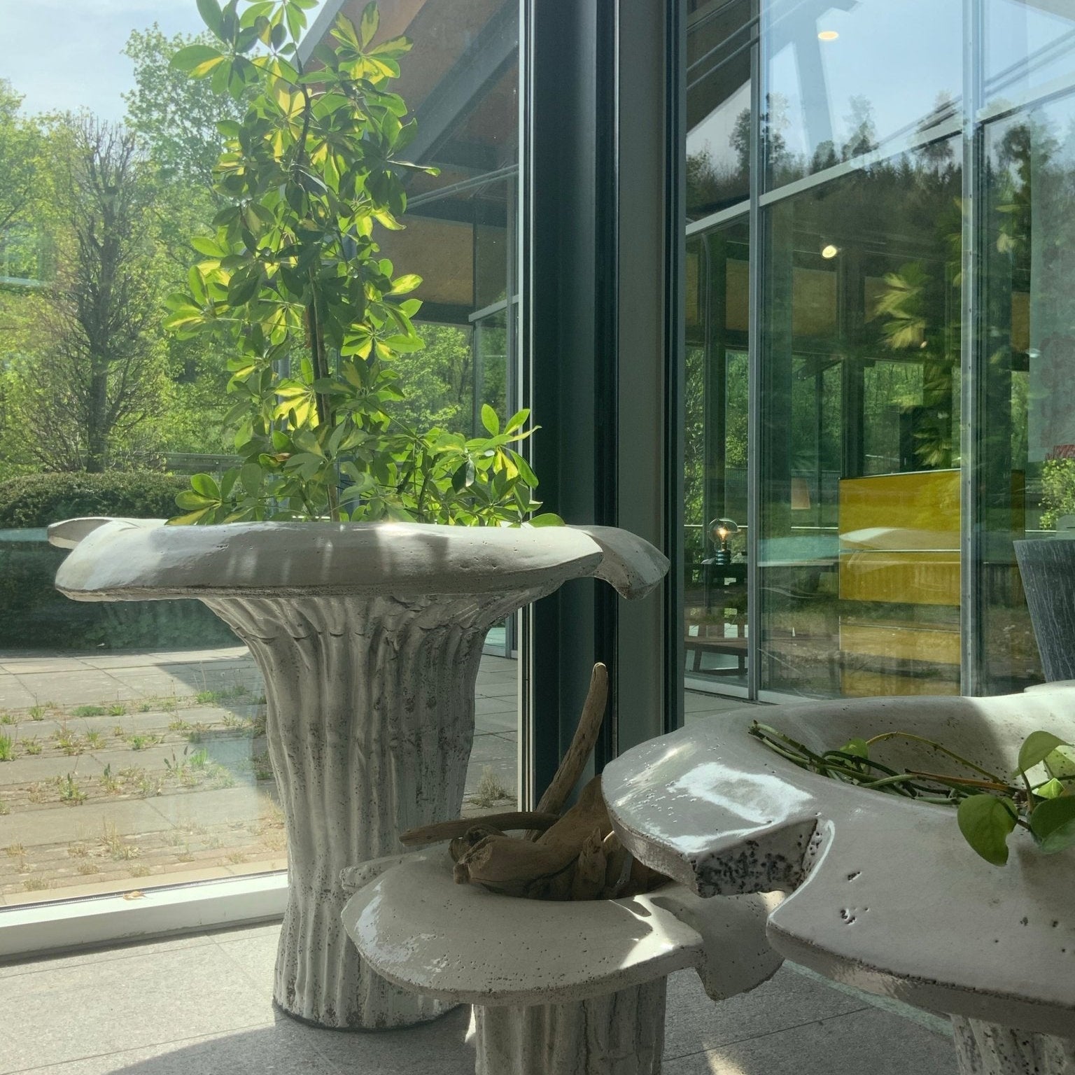 Domani / Funghi L70 / Pflanzentopf - architare shop