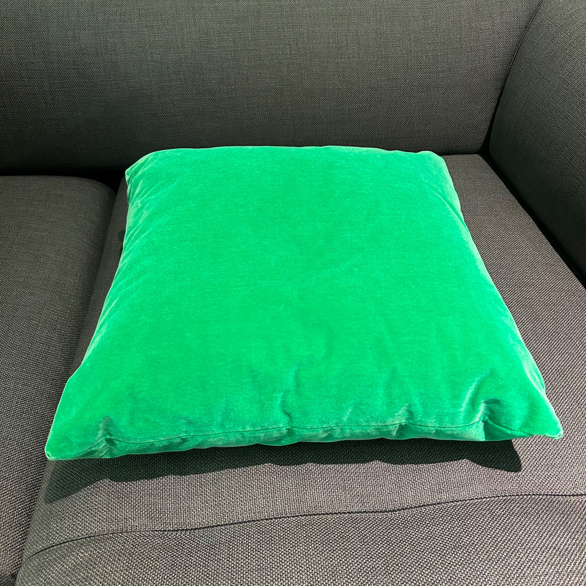 Walter Knoll / Dekokissen 301-DK2 / Dekokissen - Architare shop