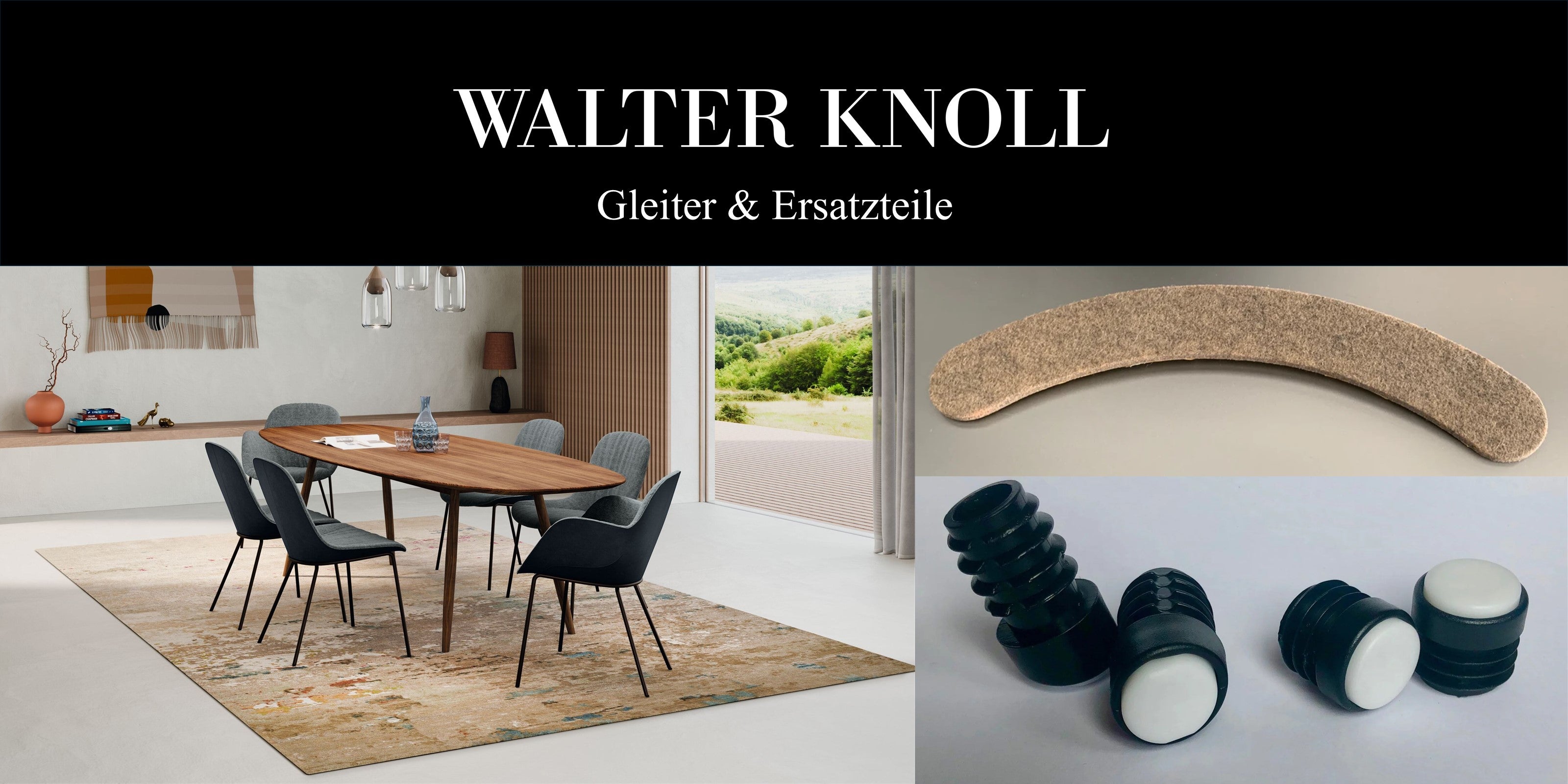 Walter KNoll Gleiter