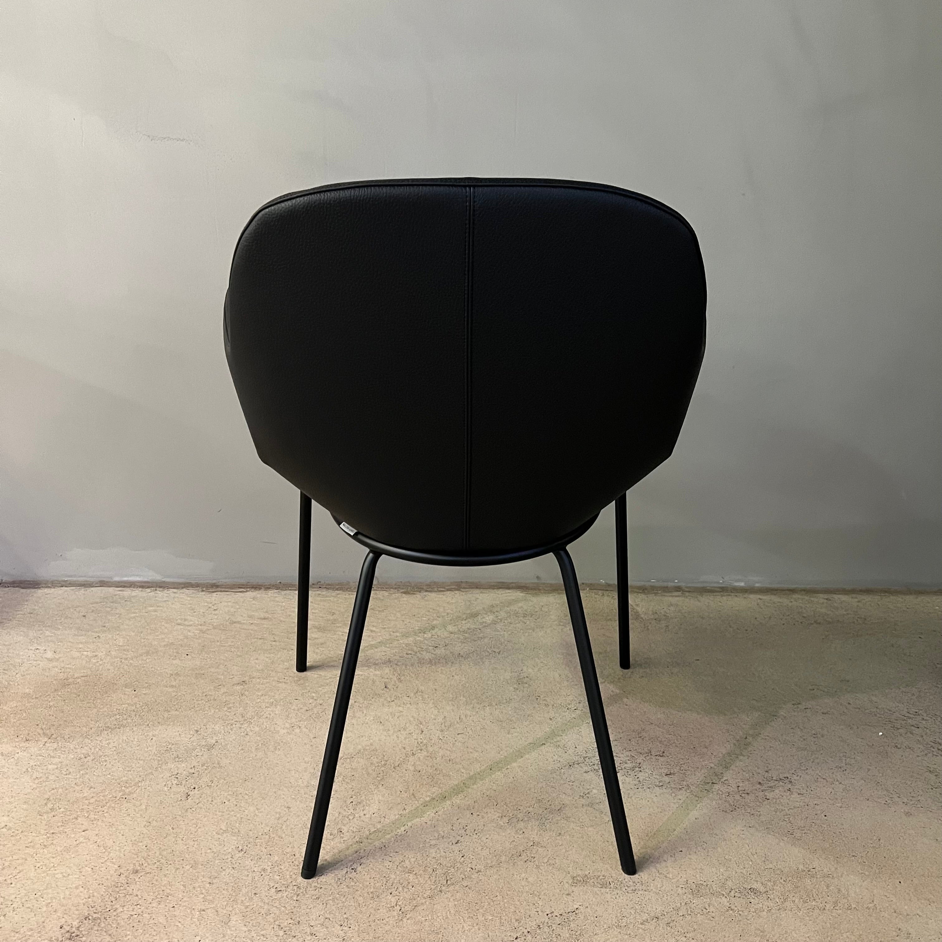 Walter Knoll / Sheru 1435 / Komplettset 4 Stühle