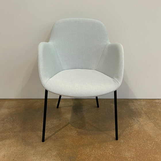 Walter Knoll / Sheru 1435 / Armchair Special Edition Memo