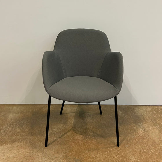 Walter Knoll / Sheru 1435 / Armchair Special Edition Present