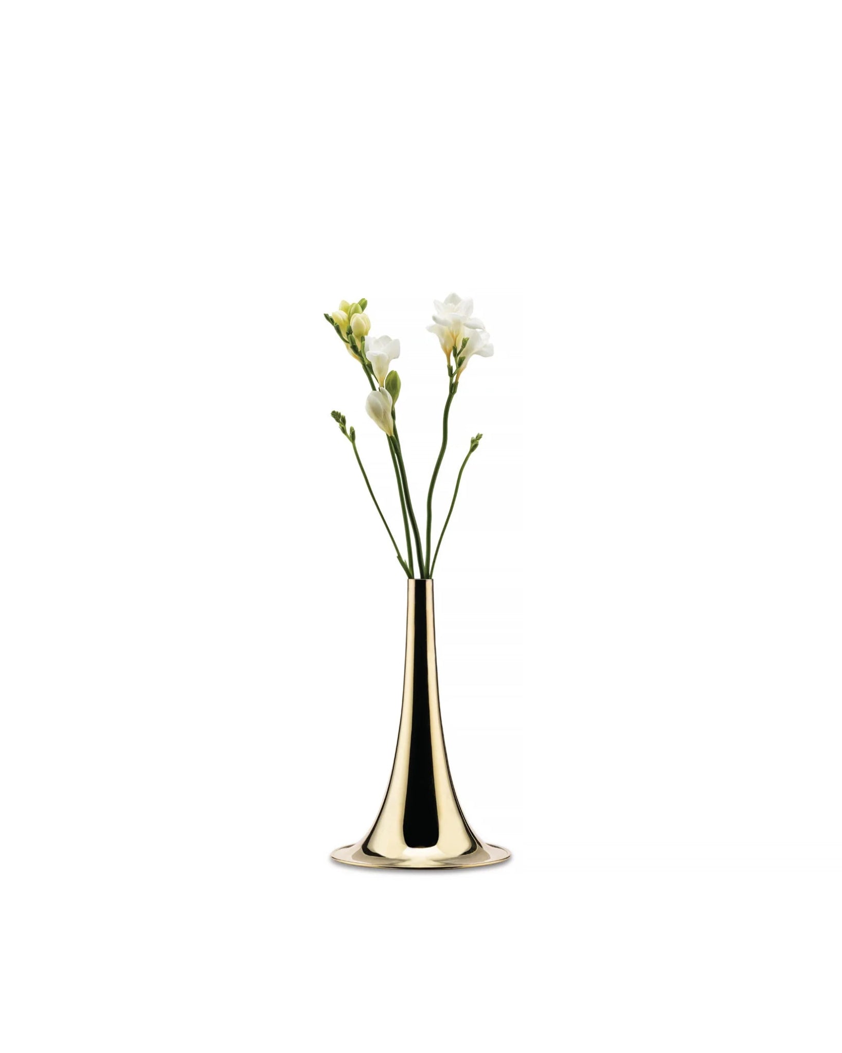 Alessi / Trumpet / Blumenvase - architare shop