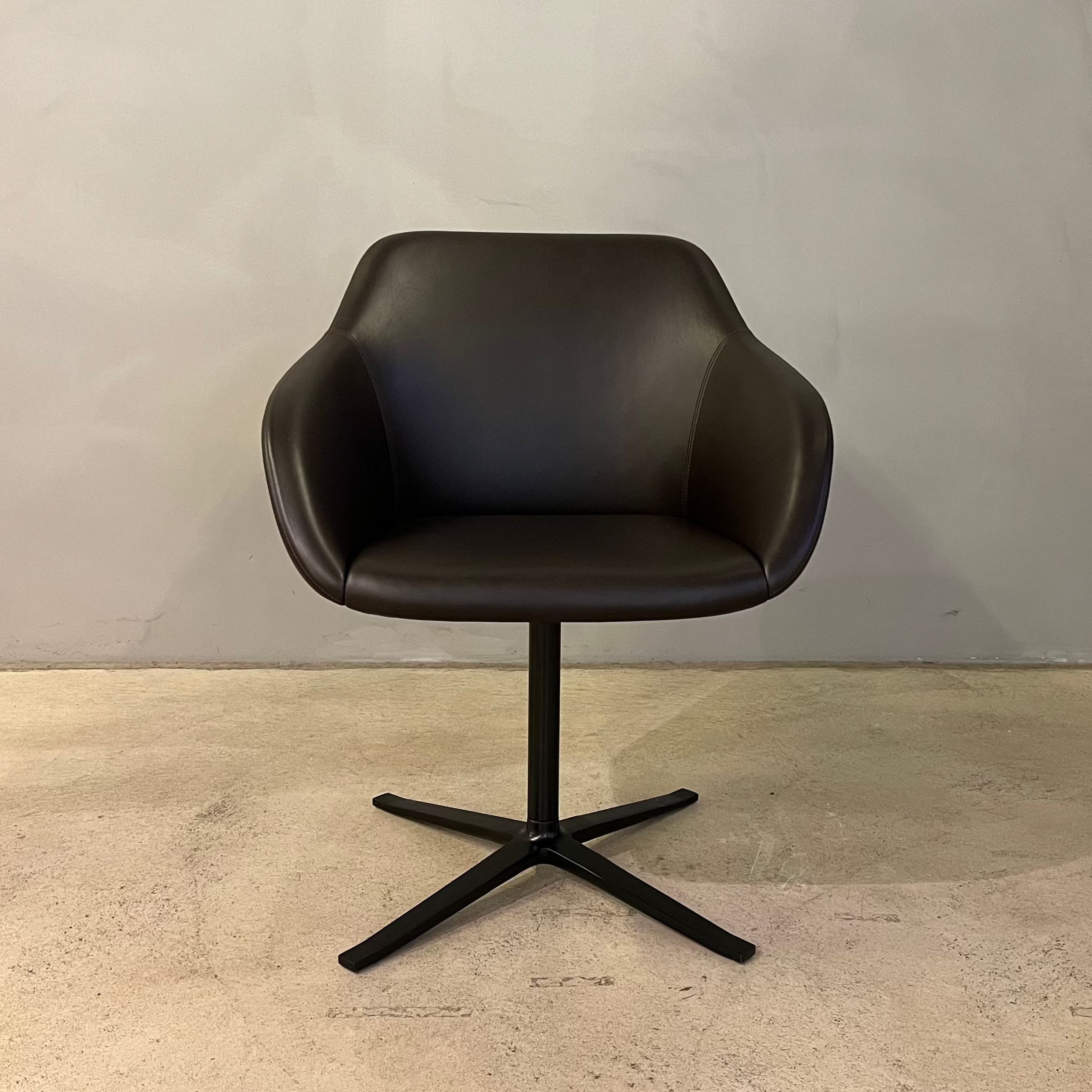Walter Knoll Turtle Schalensessel Leder