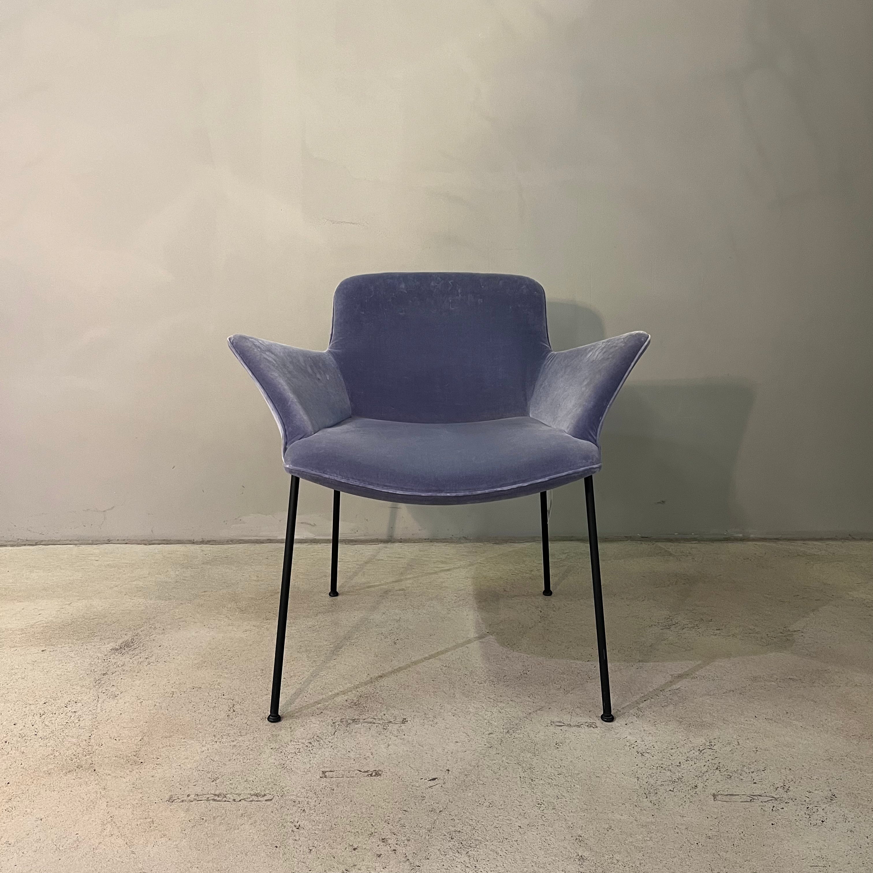 Burgaz Stuh Walter Knoll Lila