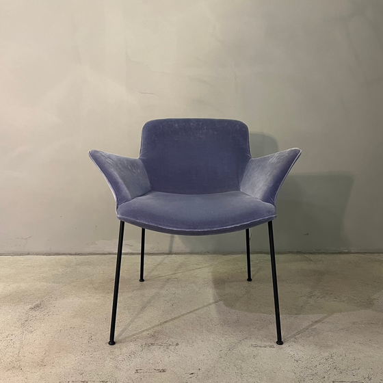 Walter Knoll / Burgaz Chair / Armchair