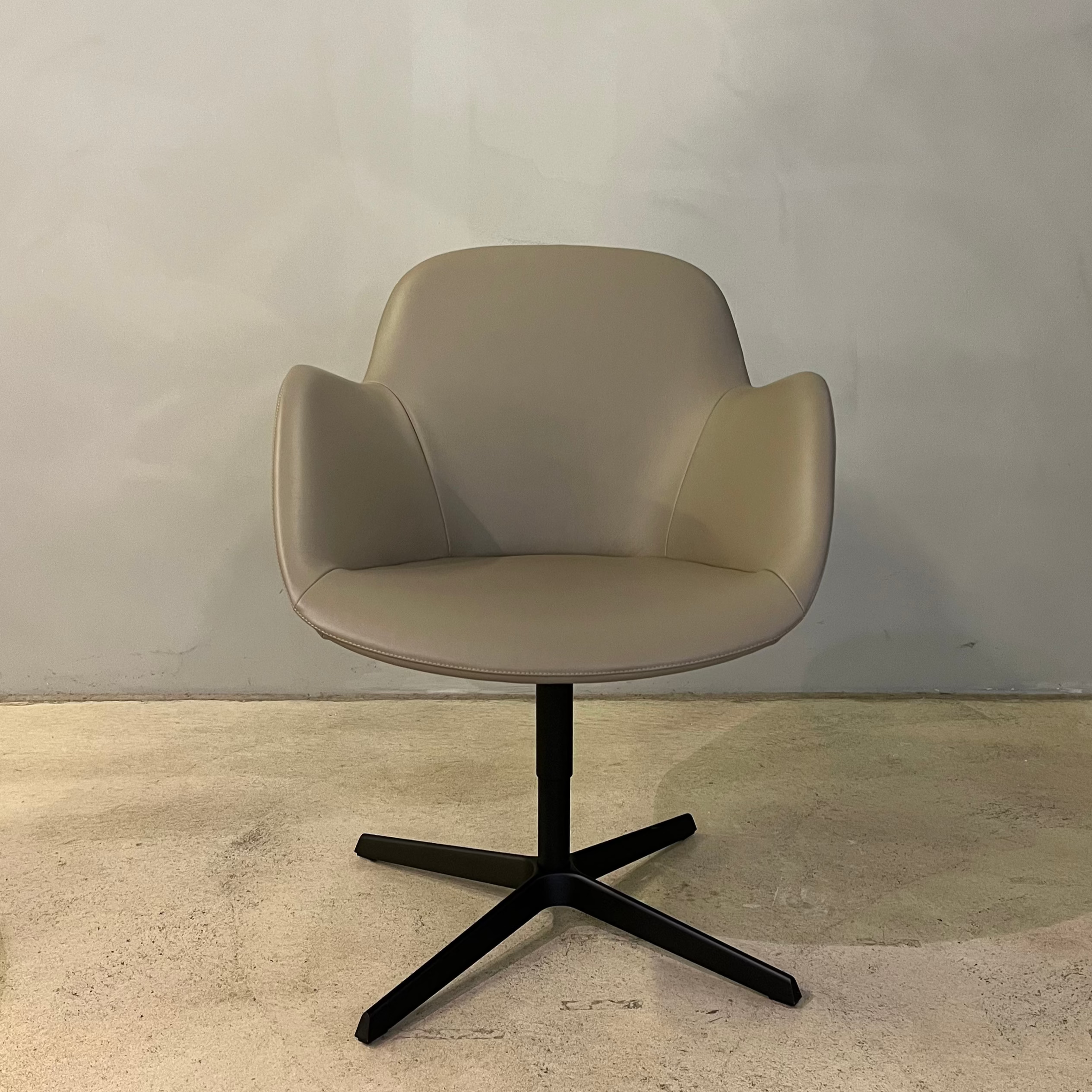 Walter Knoll Sheru 1437 armchair - Main Image