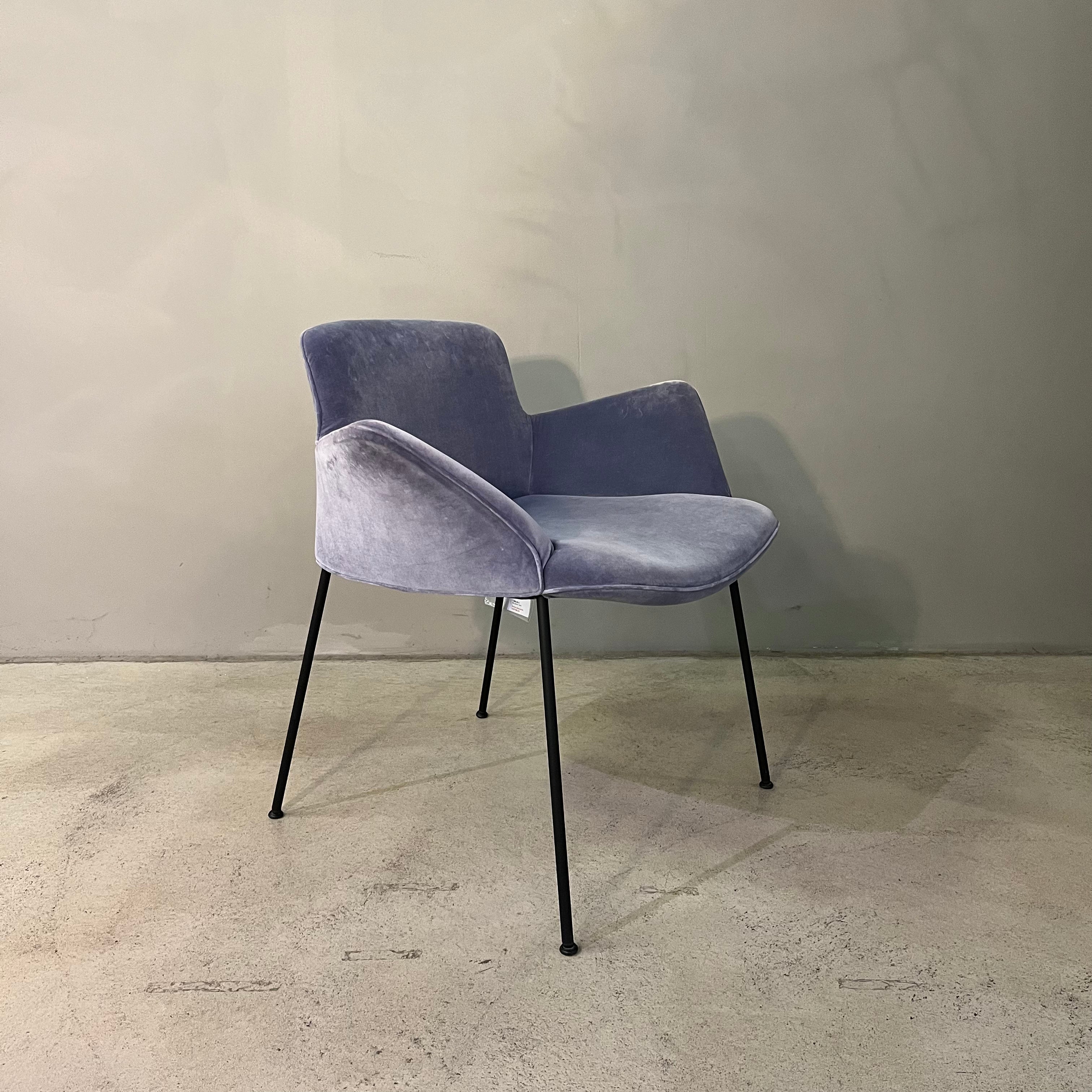 Walter Knoll / Burgaz Chair / Armchair